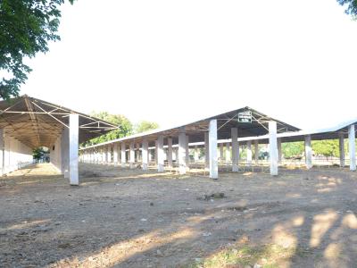 Baila Bajara Gurance Seda