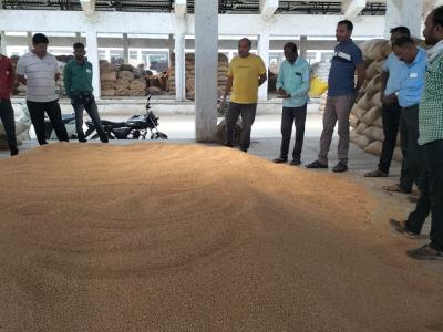 Dhannya Bajara Lilava