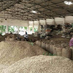 dhannya_bajara_1_original