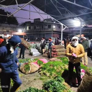 upabajara_katola_bhajipala_bajara_4_original