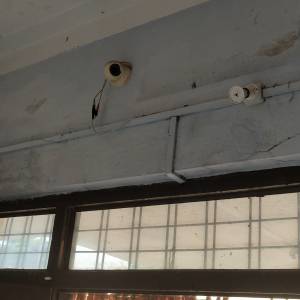 IMG_20250731_105046_original