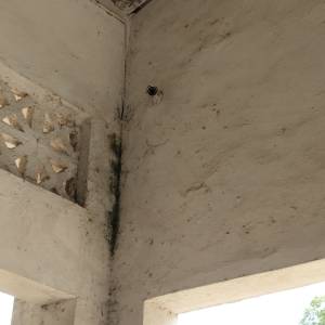 IMG_20250731_105302_original