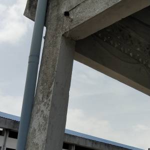 IMG_20250731_105240_original